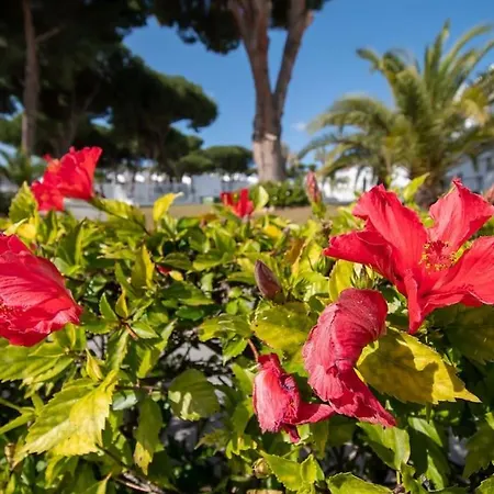 Casadelsol-marbella-slonce,piasek,szmaragdowa Woda