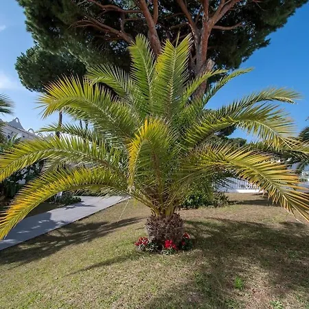 Casadelsol-marbella-slonce,piasek,szmaragdowa Woda Appartement
