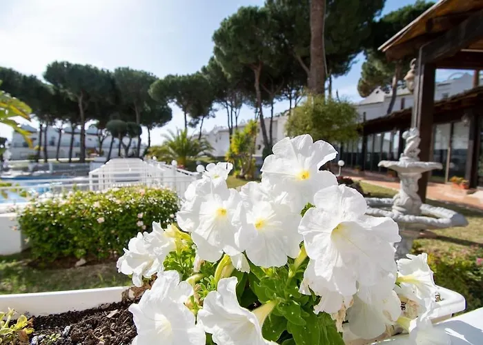 Casadelsol-marbella-slonce,piasek,szmaragdowa Woda アパート *