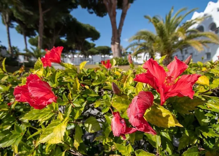 Casadelsol-marbella-slonce,piasek,szmaragdowa Woda